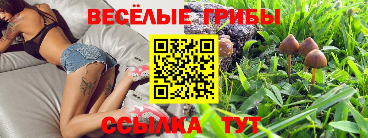 Псилоцибиновые грибы прущие грибы  Вход с VPN  Галлюциногенные грибы Magic Shrooms  Канаш 
