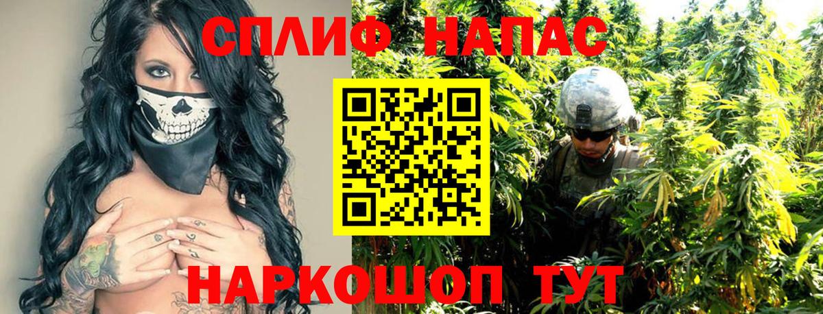 Бошки Шишки ГИДРОПОН  Бошки Шишки семена  Канаш  Вход с VPN 